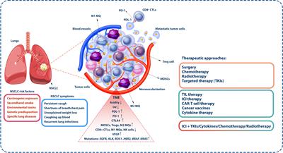 Advancing non-small cell lung cancer treatment: the power of combination immunotherapies